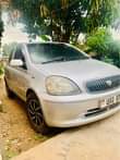 A picture of Vitz