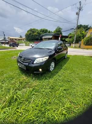 Trinidad C.