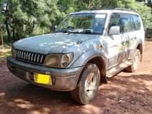 used toyota prado