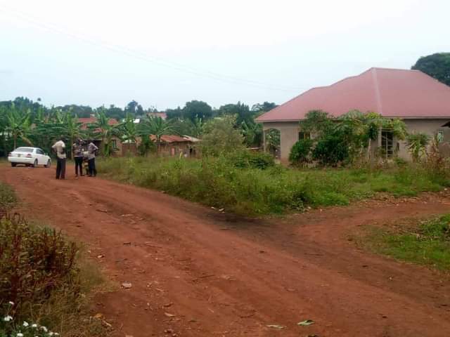 houses matugga