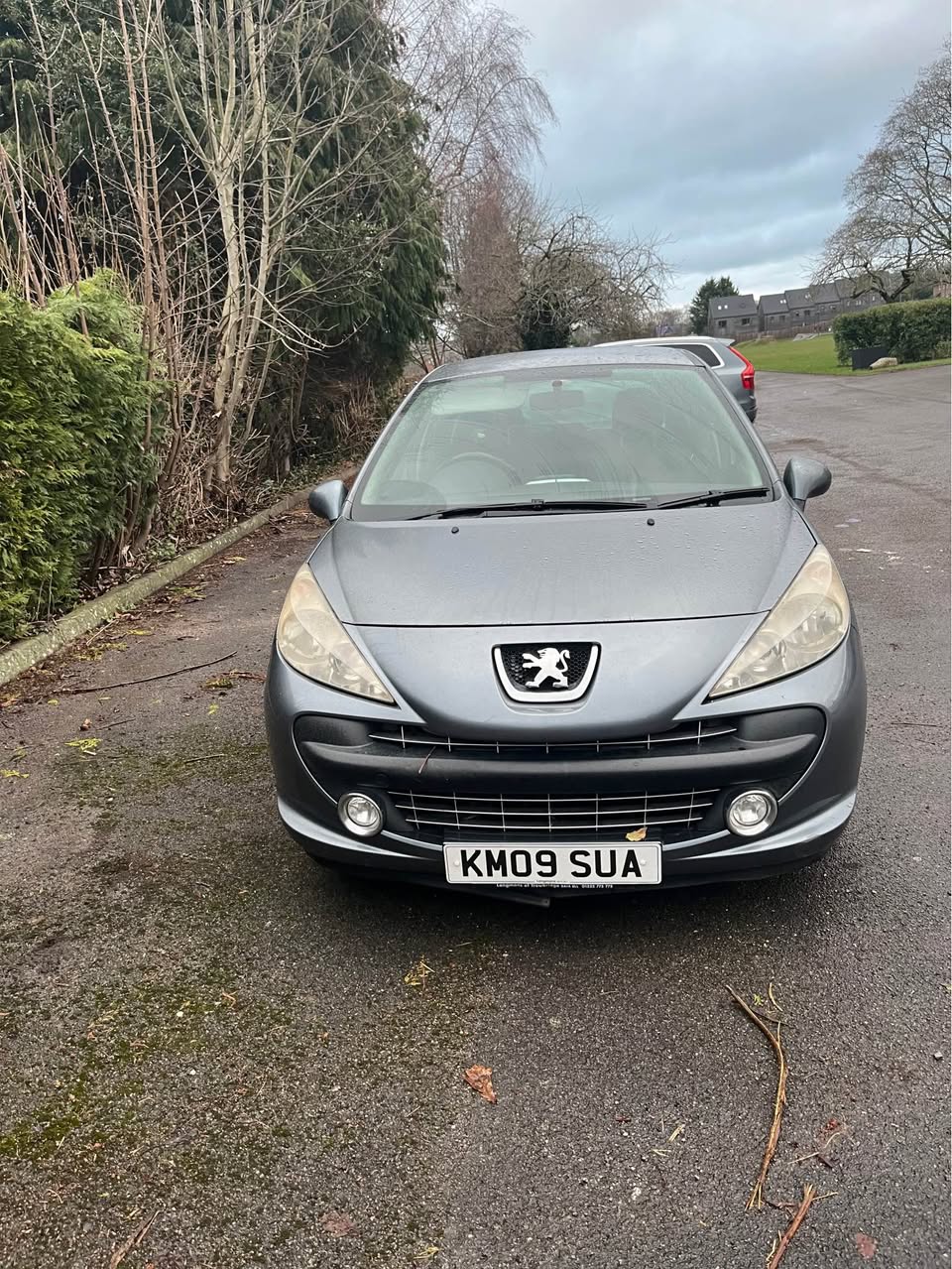 peugeot 207