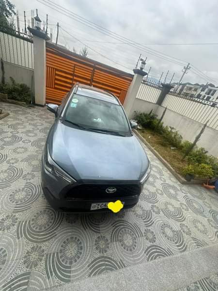 cars