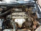 A picture of HONDA ACCORD