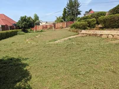 Ssekanjako F.