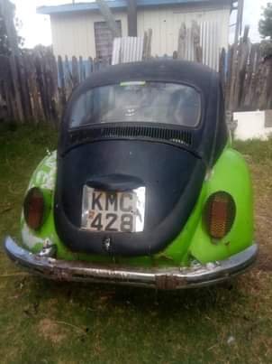volkswagen beetle