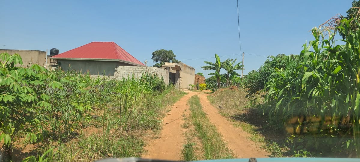 Bugala J.
