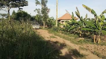 A picture of 4.5m Quick sale plot size 40by25ft located at matugga kakelenge