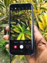 A picture of Samsung S9