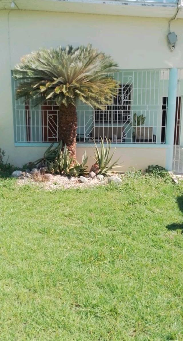 house for rent