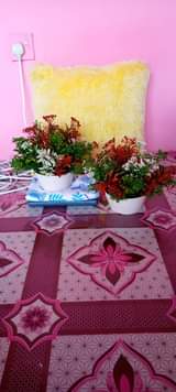 A picture of Maua Artificial yanapatikana.