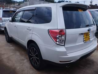 A picture of Forester 2008
