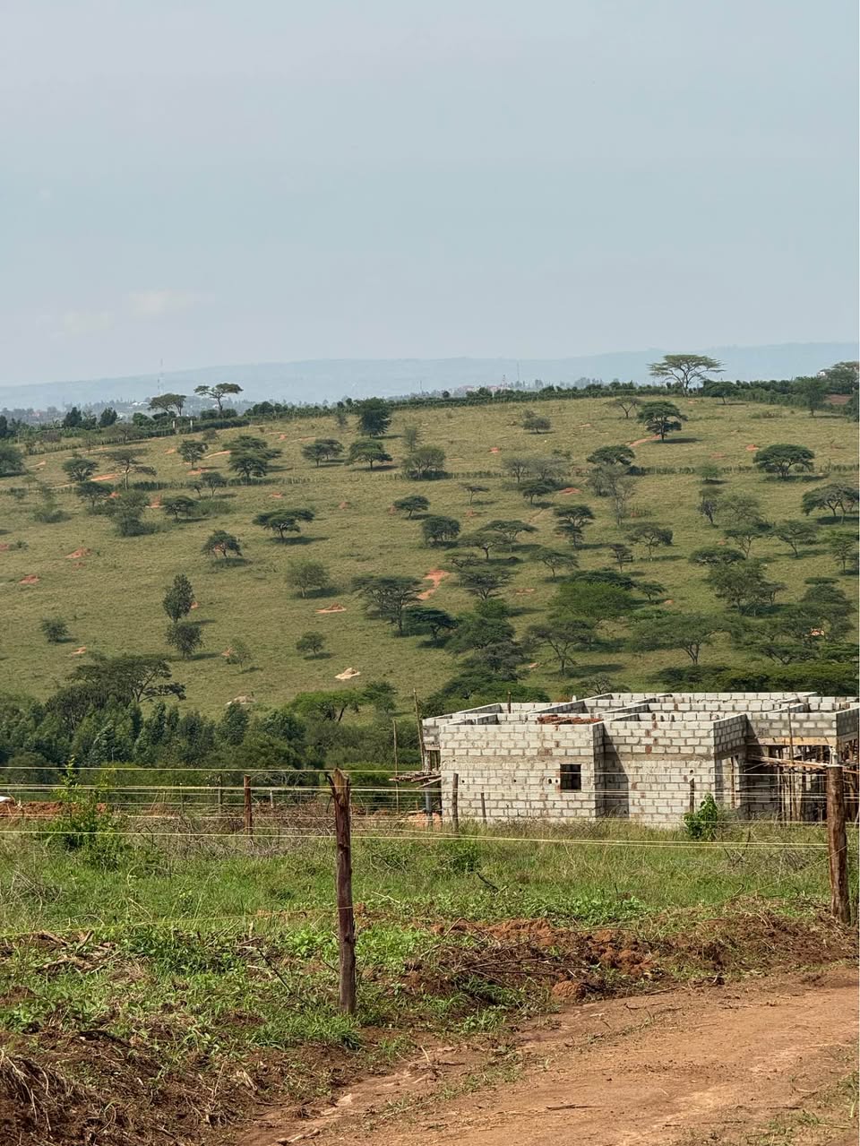 A picture of REOBUYENJE MBARARA 15M