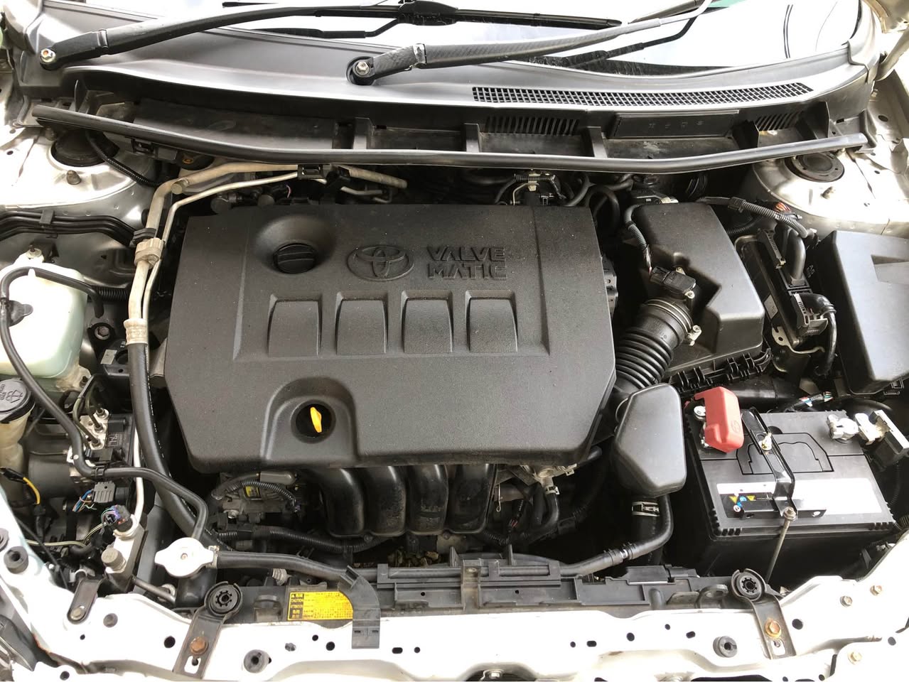 used toyota allion