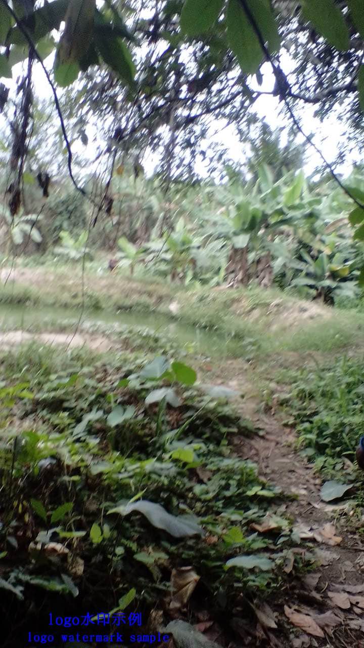 A picture of Earthen pond for rent