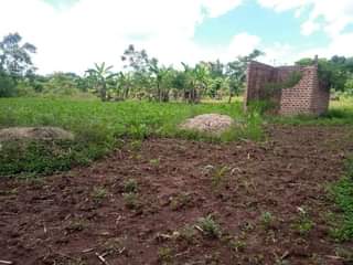 A picture of PLOT 68 125FT FOR SALE IN NAKASEKE KAPEEKA 4KM FROM