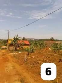 A picture of Affordable Residential Commercial Plots available on Sale at KASENGE NATEETE