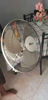 A picture of FENI BADO NZIMAAA