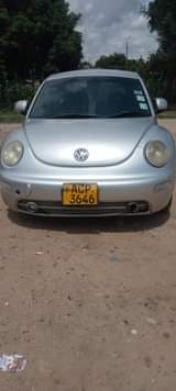 vw beetle