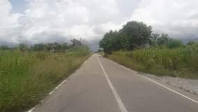 Neela R.