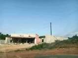 A picture of Begin a new year at Bombo kalule plot