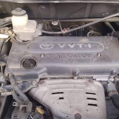 A picture of Toyota halya