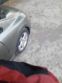 A picture of Honda Civic 2006