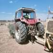 A picture of Tractor massey Ferguson