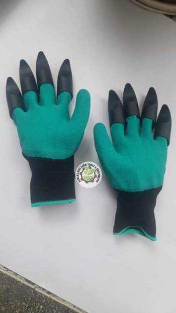 gloves