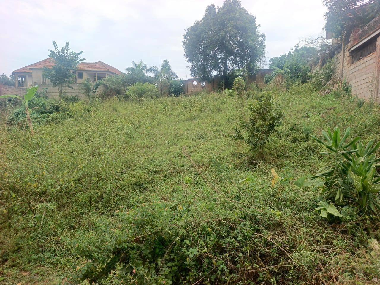 A picture of 28 decimals on quick sale in Kyanja Buwate amazing neighborhood