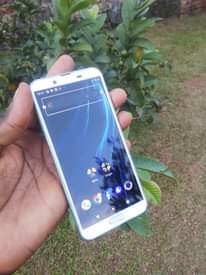 A picture of Shv 43