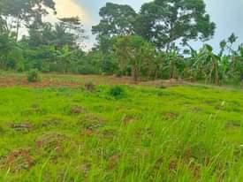 A picture of 1Arce for sale located at Ntenjeru Mukono katosi road selling