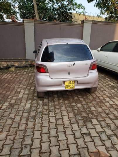 A picture of Vitz