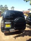 A picture of Pajero bitama