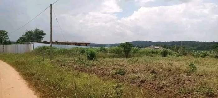 A picture of Plots on sell with ready title