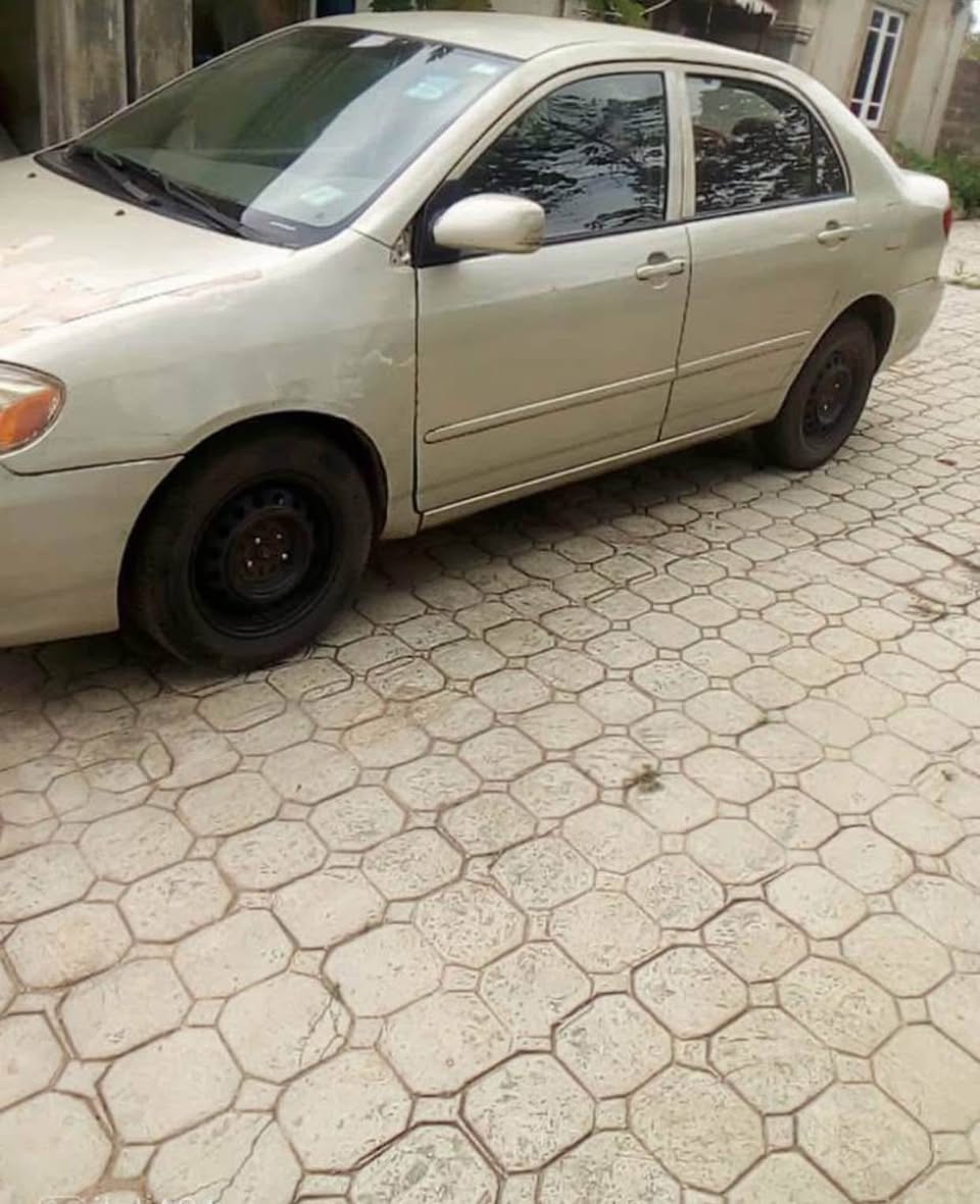 A picture of First body corolla