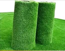 A picture of Carpets