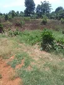 A picture of 100 by 180 for sale in Kiganda Kisoga along mukono