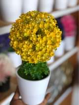 A picture of ARTICIAL FLOWERS