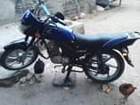 A picture of Honda ace