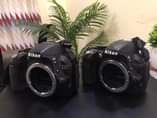 A picture of Nikon D3100 Body Tu Bila lenz