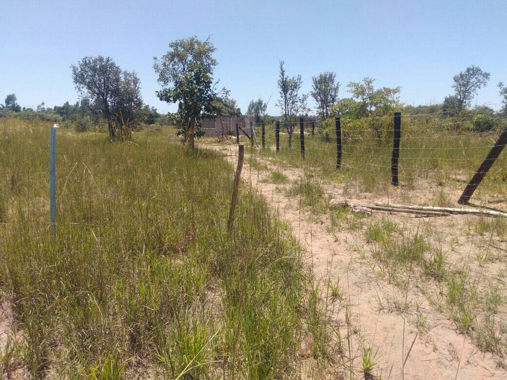 stands