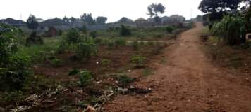 A picture of Land
