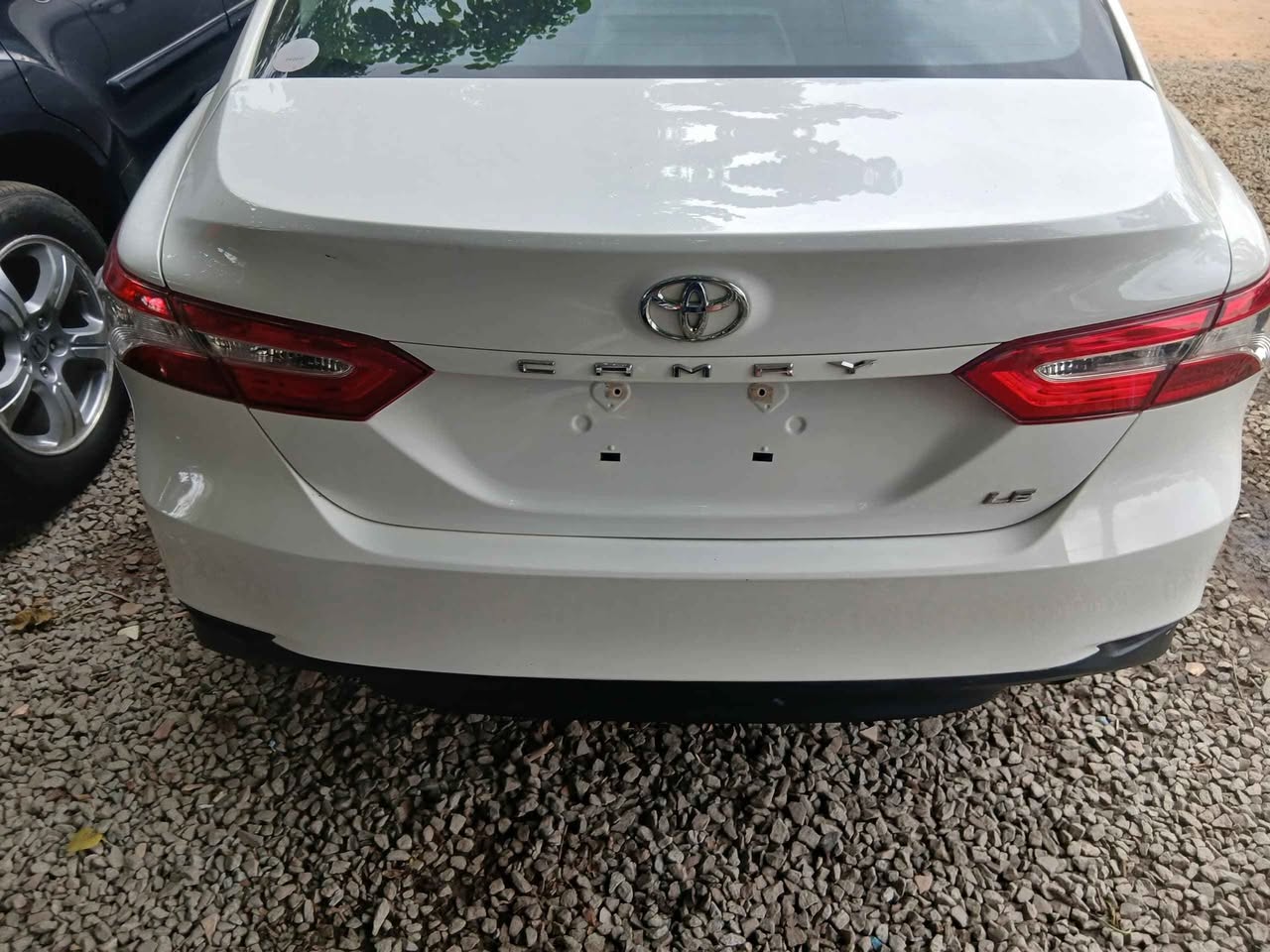 A picture of Camry