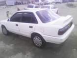 A picture of Collora limited