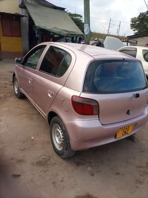 A picture of Vitz