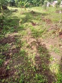 A picture of Plot in kijjo for sale