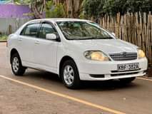 Mbugua D.