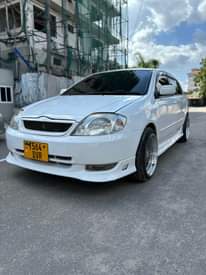 A picture of Runex for sale