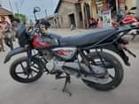 A picture of BOXER X CC125 DOMO LA MAMBA