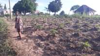 A picture of 0765291521 0679291521 VIWANJA CHANIKA MVUTI